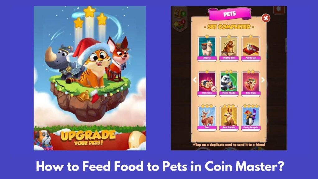 How to Get Pet Food in Coin Master?